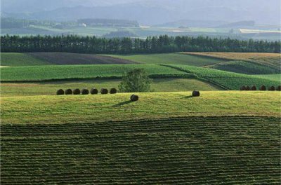 ​九月早安心语正能量说说推荐38句