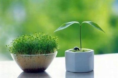 ​国庆节文案朋友圈说说(精选73条)