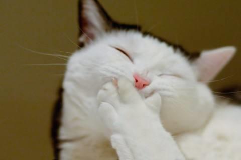 适合发朋友圈的正能量晚安语录