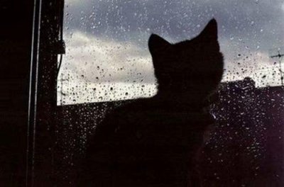 ​女生对男生深情告白一句话(精选27句)