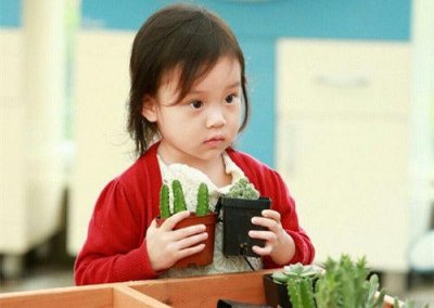 ​大学毕业朋友圈语录推荐30句