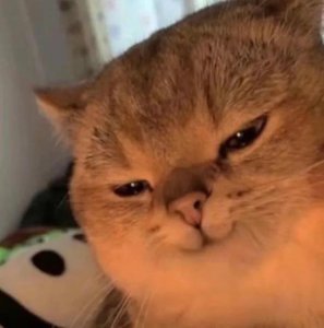 ​有哪些夸得对方神魂颠