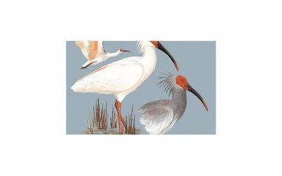 ​老公心冷，如何挽回？