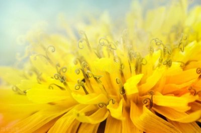 ​关于希望的句子文案（充满希望的文案句子）