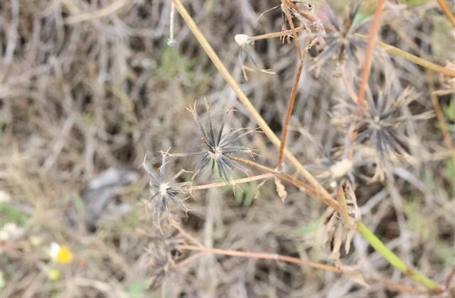 表达伤感失望的文案