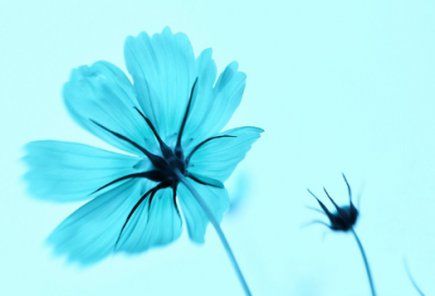 ​快要立冬简短文案