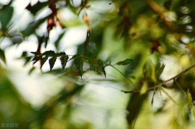 ​给十年后的自己说一句话