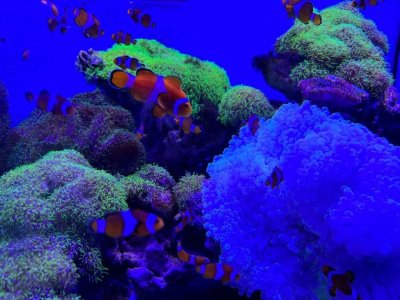 爽爽贵阳 “娱”你相约！来多彩贵州城极地海洋世界，寻找蔚蓝色的梦