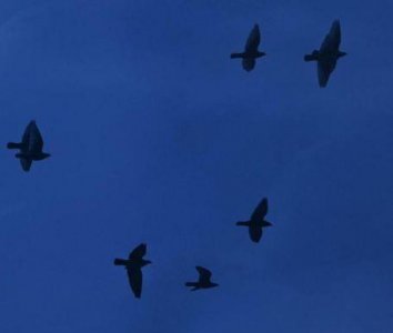 ​表明失恋的伤感句子说说