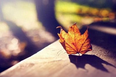 报复一个人，最好的方式：这3种手段才是真聪明