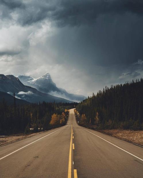 每日晚安语录正能量短句