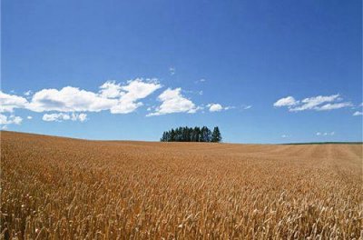 ​给朋友挽回爱情的句子