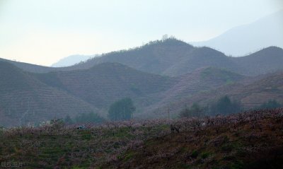 ​人去世后还有灵魂吗？