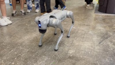 ​遛机器狗的时代即将来临？价格即将砍到三四千，人人都能买得起！