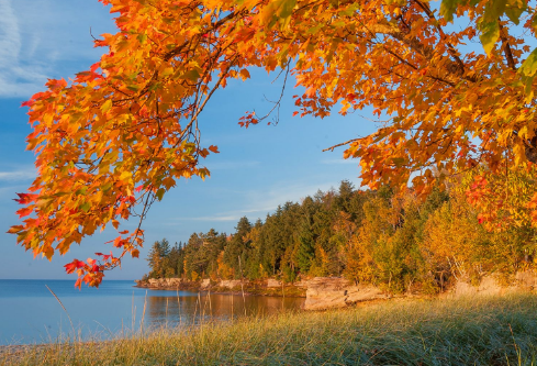 1711127883239577.png image.png