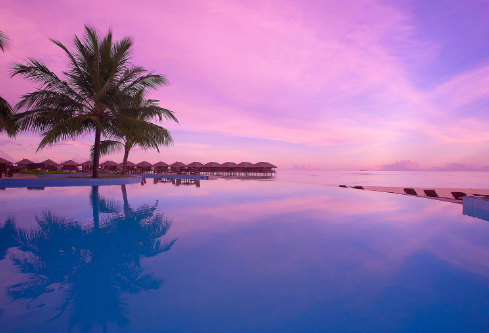 1711101968522018.png image.png