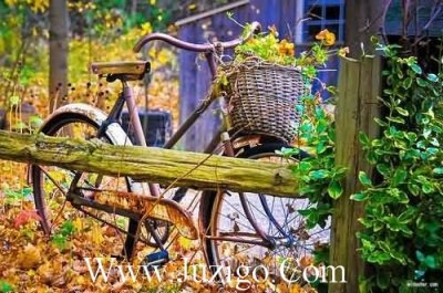 ​精选超搞笑语录大全搞笑语录押韵(精选170句)