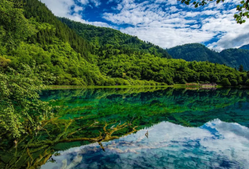 1711106620954694.png image.png