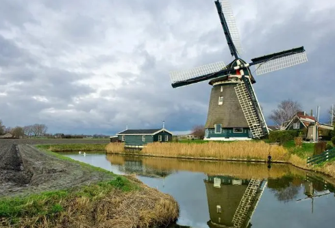 1711109111981133.png image.png