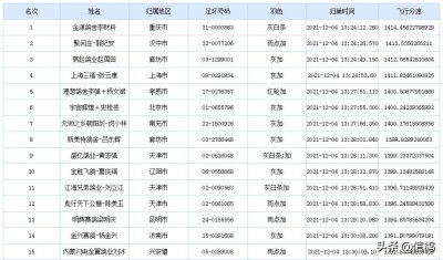 ​开尔公棚：比赛永无止境，两千羽赛鸽加站赛继续上路，精彩不断