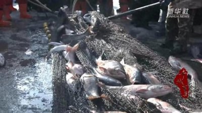 ​千城百县看中国｜“冬捕村”冰下淘金实现“年年有鱼”