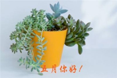 ​文案短句干净治愈（三观正又干净）