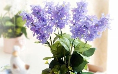 ​八月再见九月你好抖音最火的说说句子(精选44句)