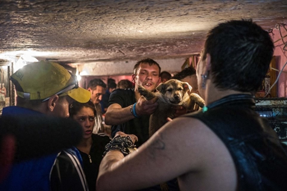 在其华丽的地表下有着不为人知的世界，他们被称作下水道儿童