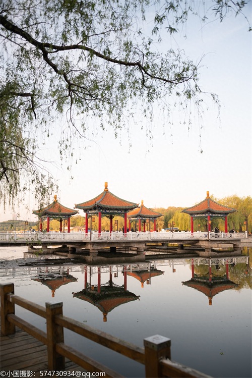 最美公园:长春市南湖公园(风景篇)