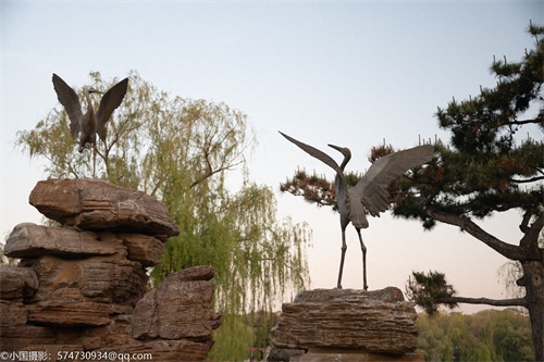 最美公园:长春市南湖公园(风景篇)