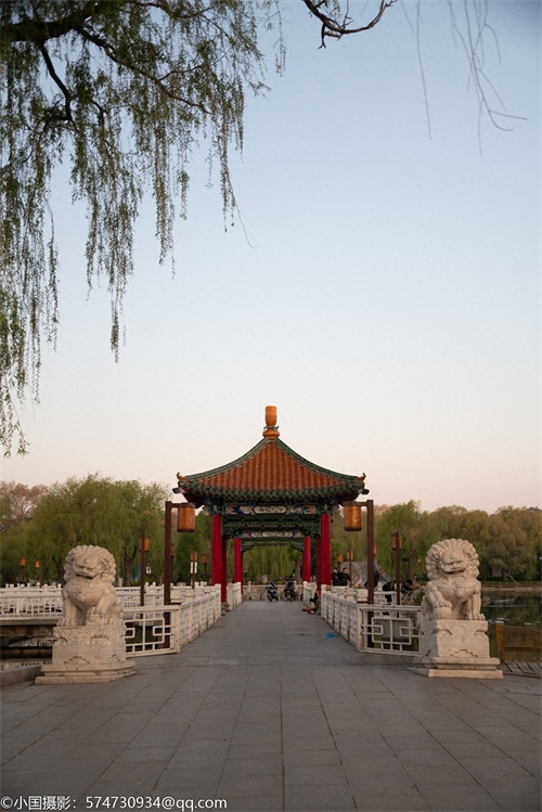 最美公园:长春市南湖公园(风景篇)