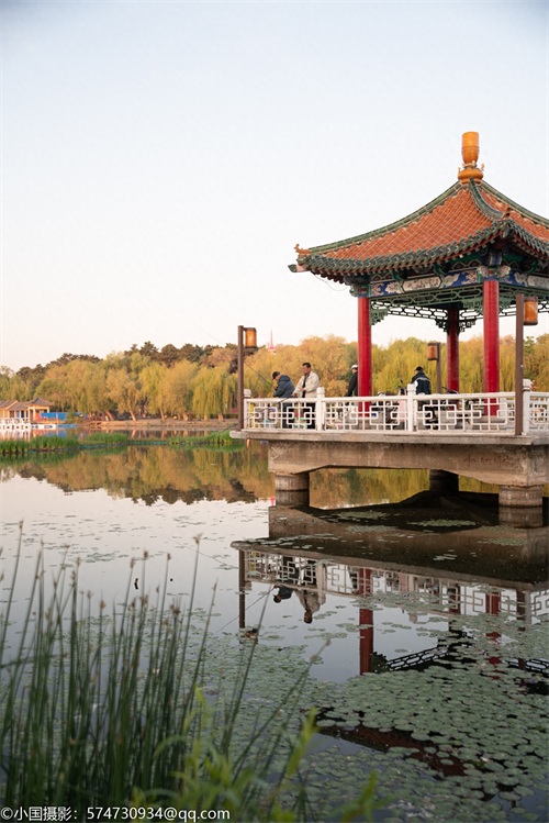 最美公园:长春市南湖公园(风景篇)