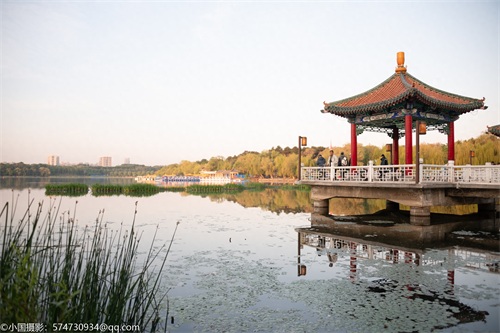 最美公园:长春市南湖公园(风景篇)