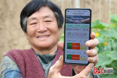 ​记者走基层｜一部手机，管理五十多座大棚